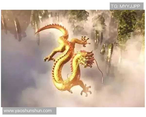 可兰白克的传奇人生与不屈精神探索之旅